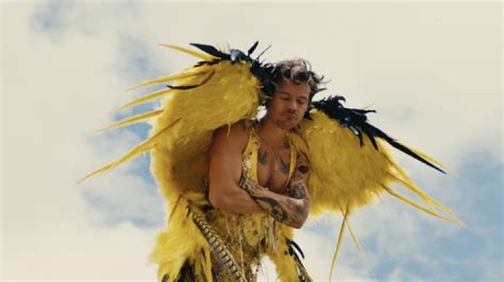 Is Harry Styles flying solo these days?